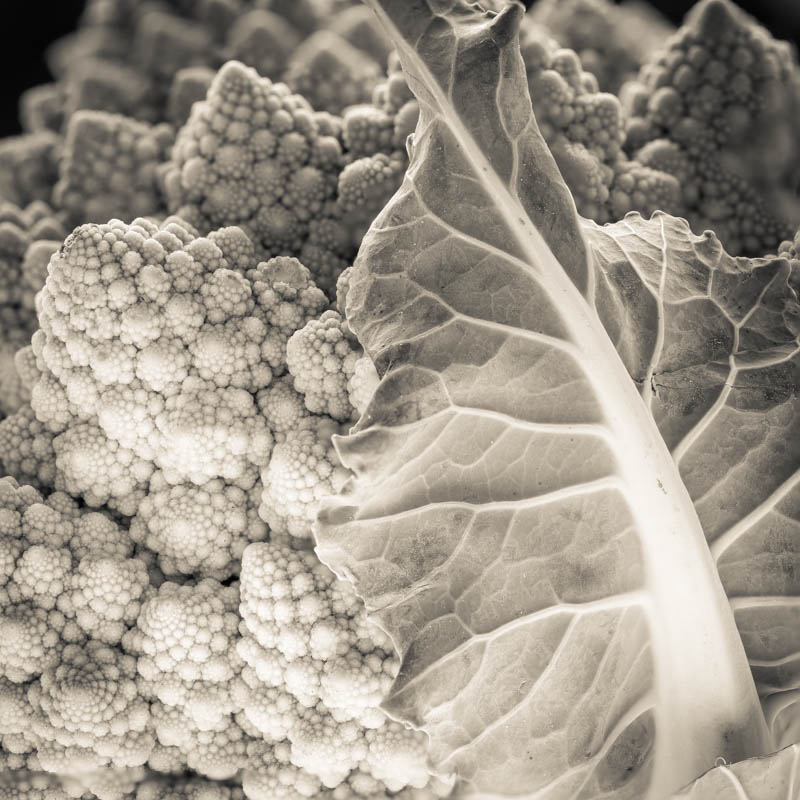 Black and White Romanesco broccoli