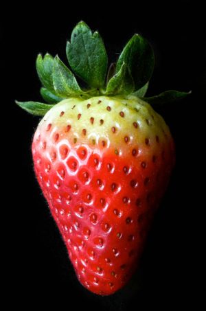 Strawberry 2449