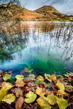 Loweswater 2857 Greetings Card