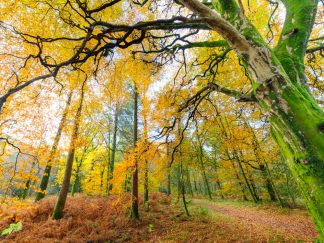 Holme Wood Worktop saver