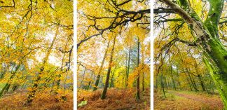 Holme Wood triptych