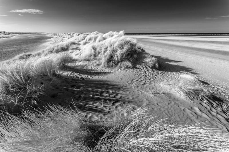 Wells-next-the-Sea, Sand Dunes 4035