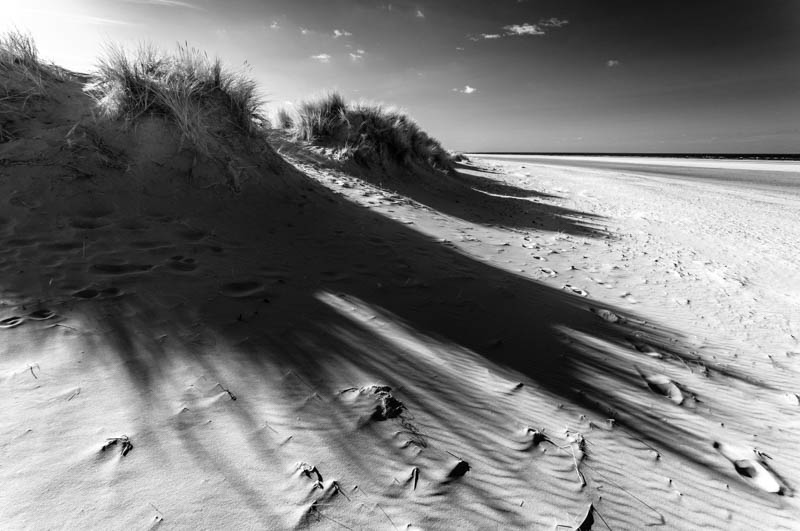 Wells-next-the-Sea, Sand Dunes 4036