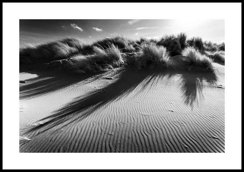 Wells-next-the-Sea, Sand Dunes 4038