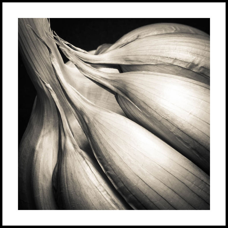 Black and White Garlic