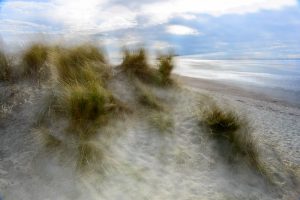 Sand Dunes at West Wittering 4996 Greetings Card