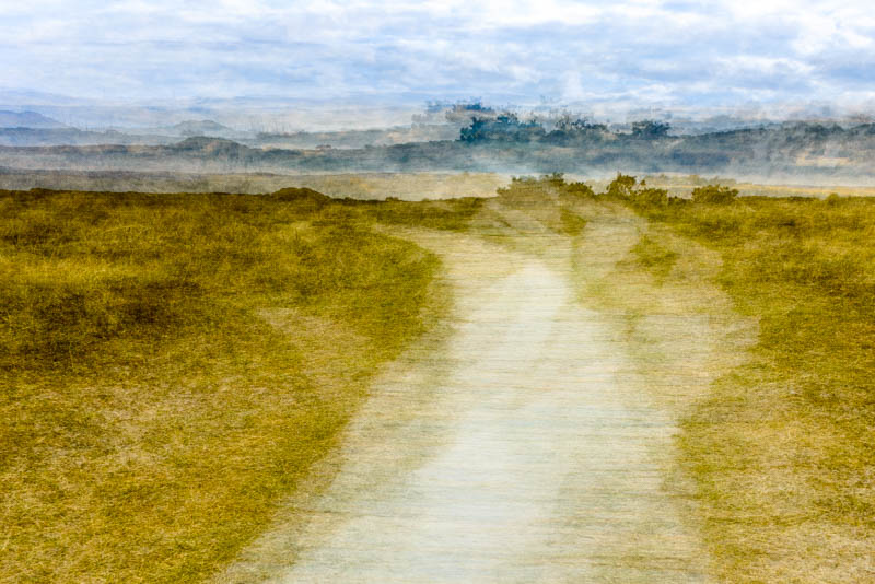 Path through the dunes at West Wittering at West Wittering 4997 Greetings Card