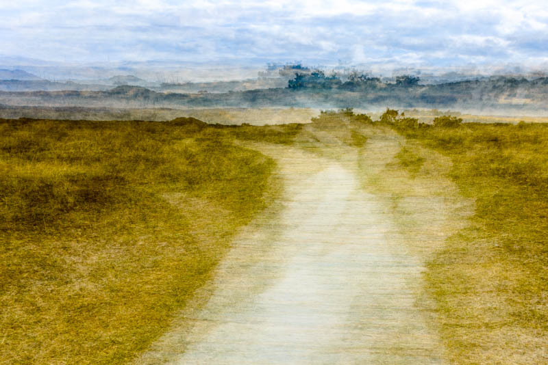 West Wittering, path through the dunes 4997