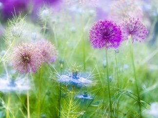 Allium 5132 Worktop saver