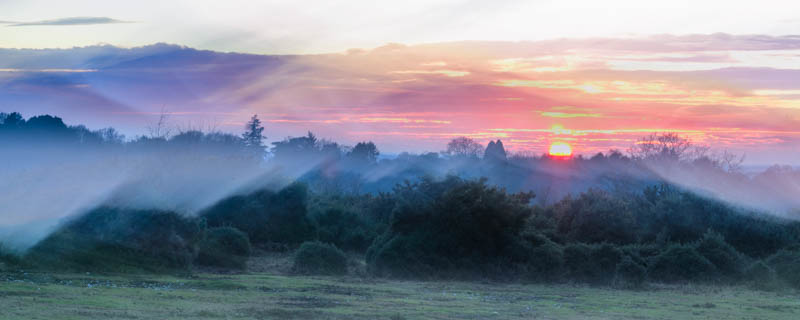 New Forest Sunset 5240PAN