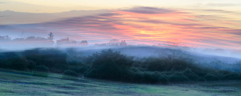 New Forest Sunset 5241PAN