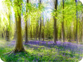 Bluebell Wood 5274 Worktop saver