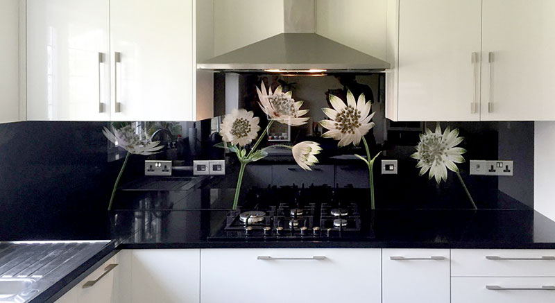 Astrantia Flower photography Glass Kitchen Splashback