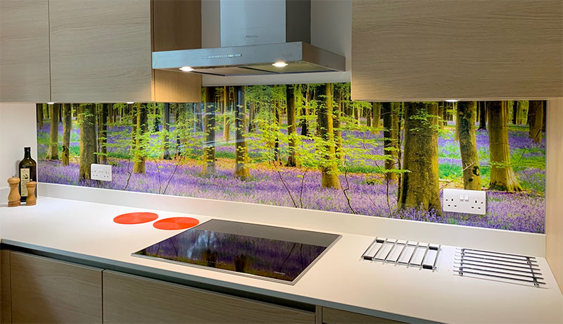 Micheldever bluebell wood 1939 glass splashback