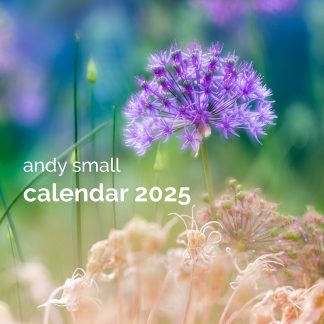 Andy Small Calendar 2025