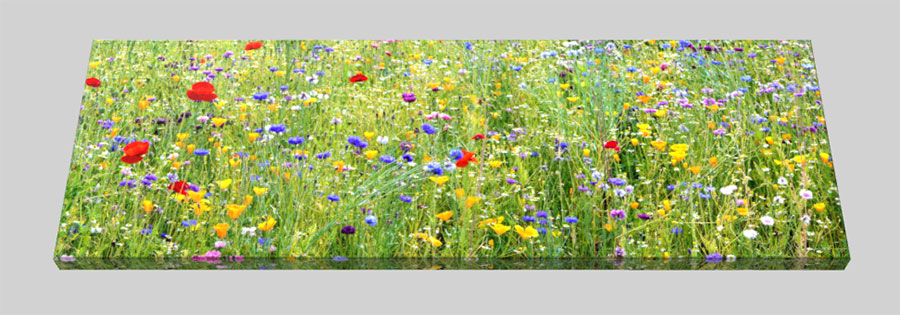 Prints on Canvas