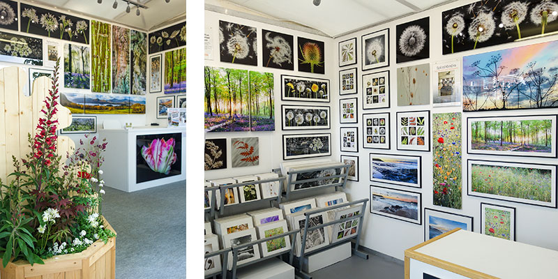 Chelsea-Flower-Show-Exhibition