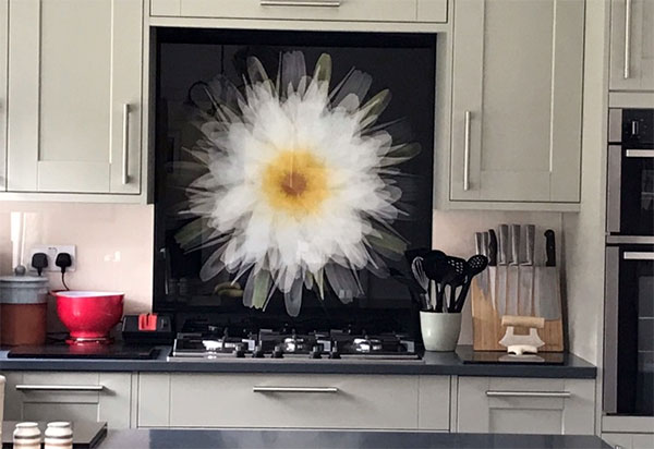 Daisy 4868 glass splashback