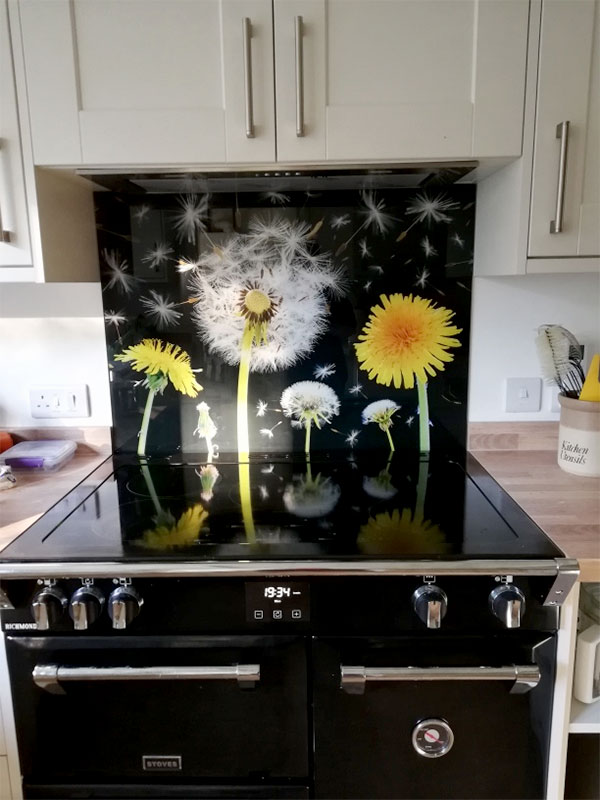 Dandelion 4212 glass splashback