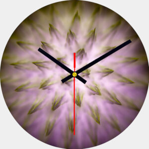 Echinops Glass Wall Clock