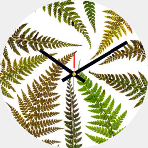 Ferns Glass Wall Clock