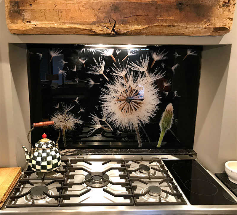 Rough Hawkbit 4217 glass splashback