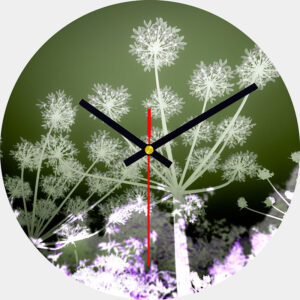 Hogweed Glass Wall Clock