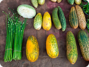 Indian Market Worktop saver