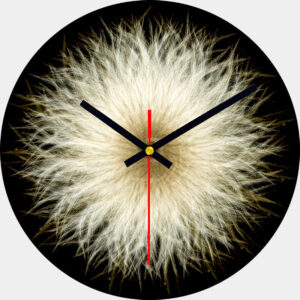 Pasque Flower Glass Wall Clock