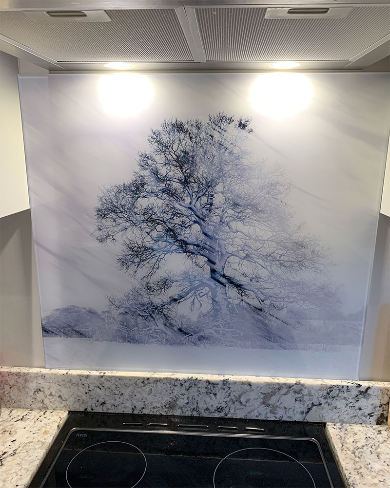 Oak tree in snow 5133 glass splashback